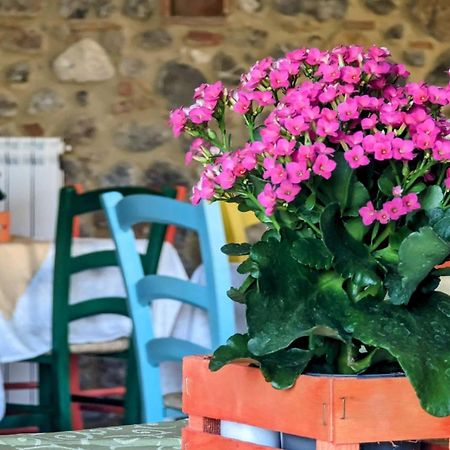 La Quinta Decima Bioagriturismo Fattoria Spedaletto Exteriér fotografie