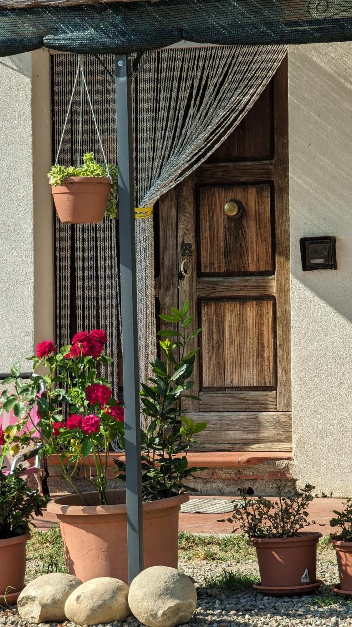 La Quinta Decima Bioagriturismo Fattoria Spedaletto Exteriér fotografie